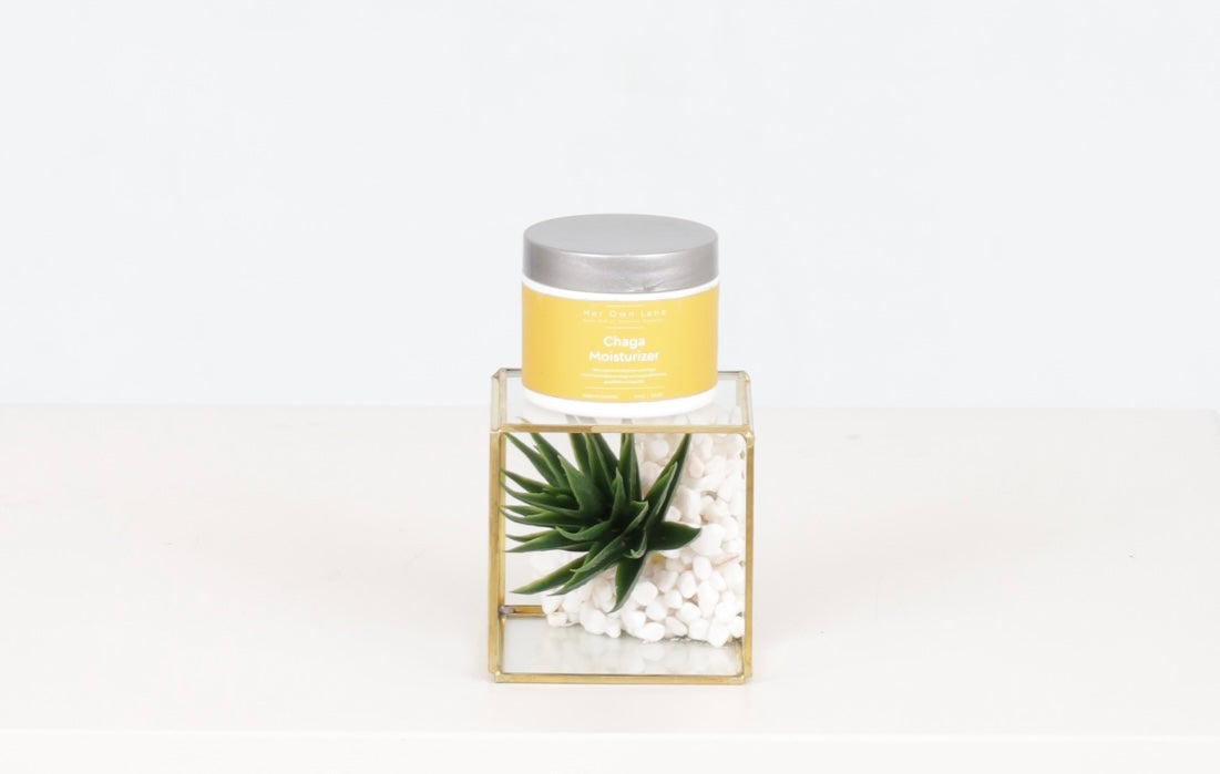 Chaga Mushroom Moisturizer | Antioxidant Face Cream for Glowing Skin
